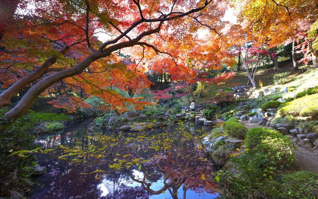 10 Hidden Autumn Foliage Spots in Tokyo