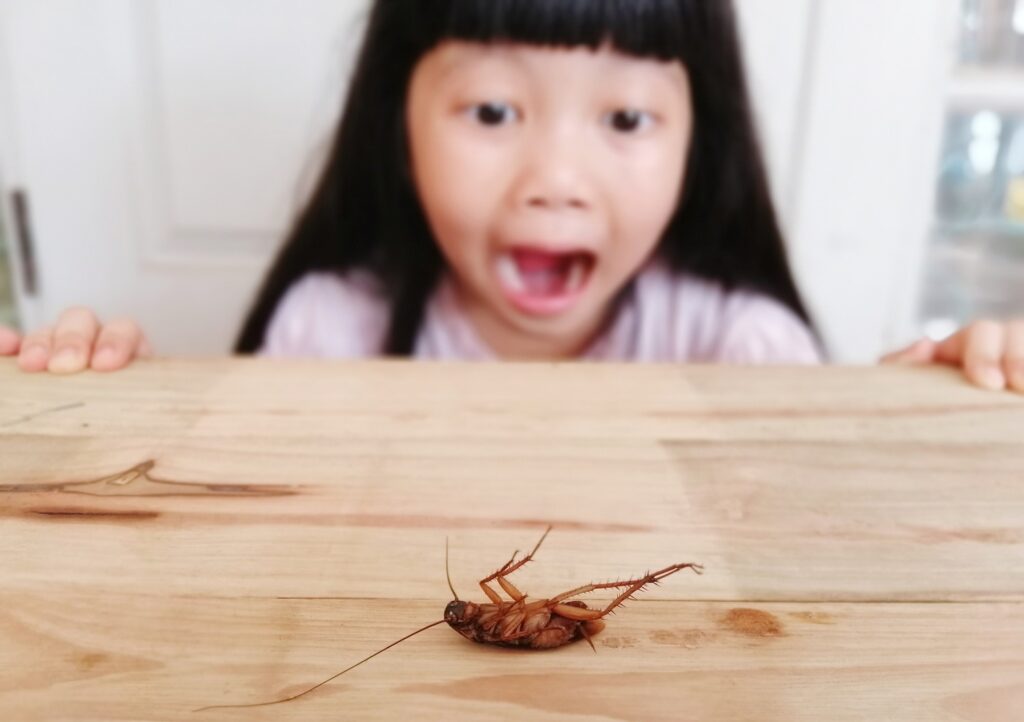 How Do You Get Rid of Cockroaches in Japan?