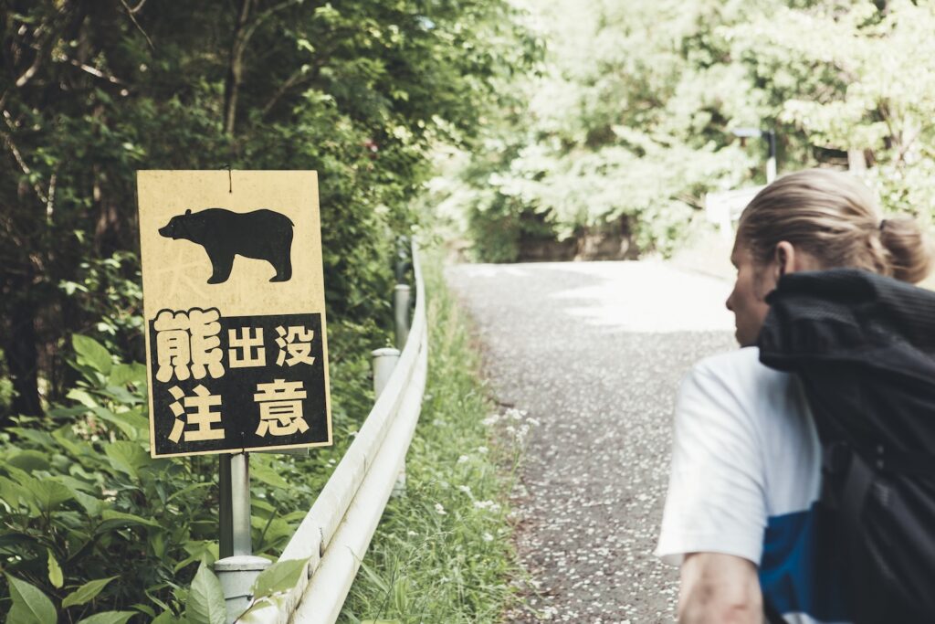 Bear Attacks in Japan: Where They Happen and How to Stay Safe