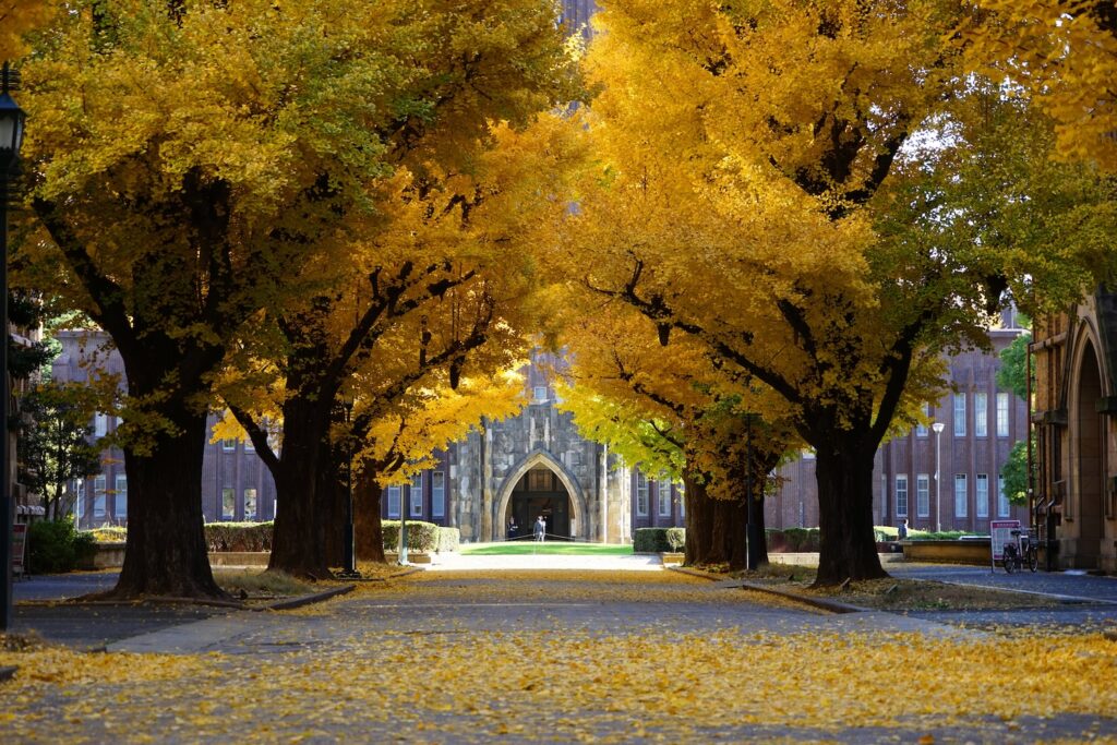 Universities in Japan: Which One Is Right for You?
