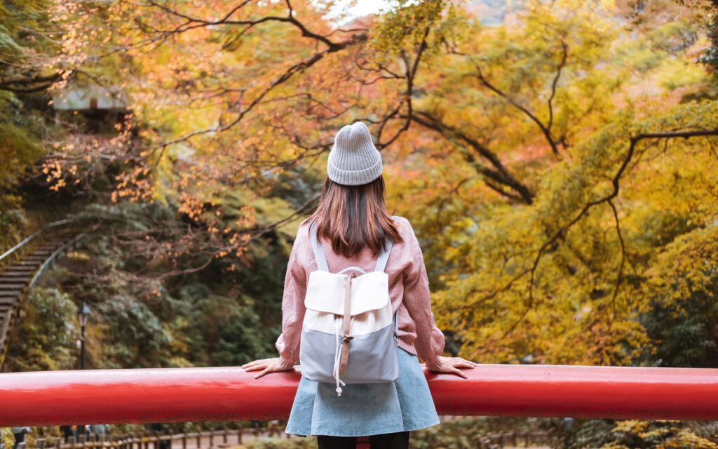 Osaka Weekly Events: What’s On? (Nov. 11 – 17)