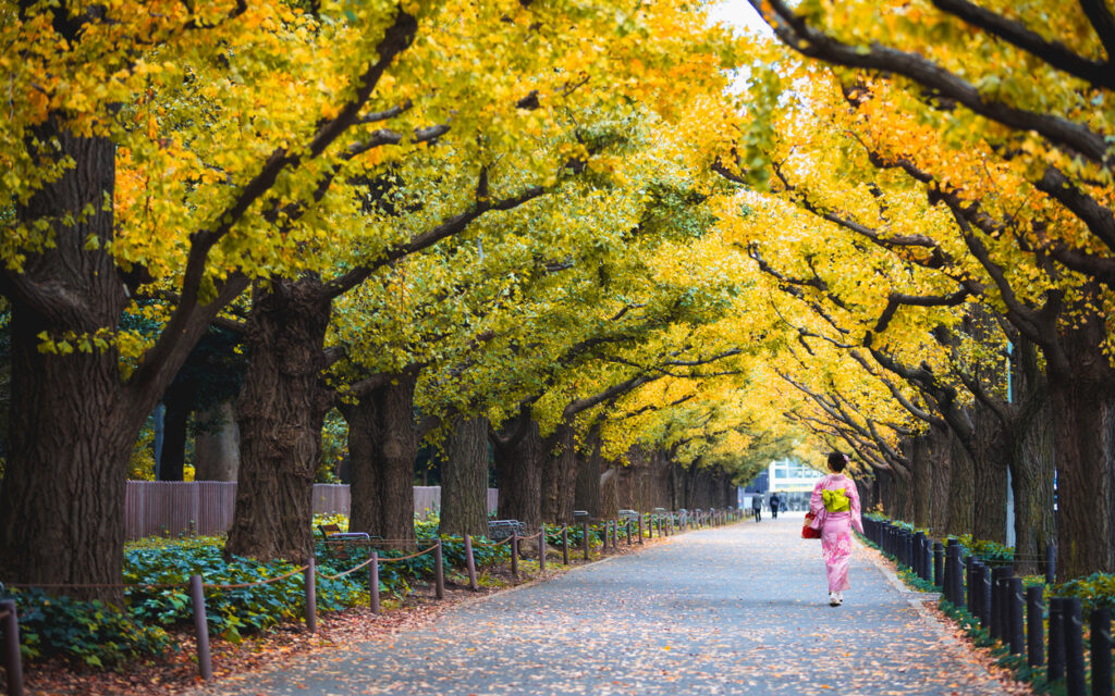 Tokyo Weekly Events: What’s On? (Nov. 11 – 17)