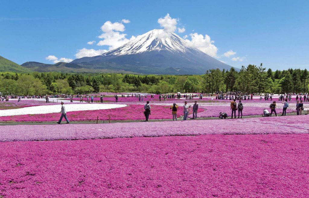 Saitama Japan