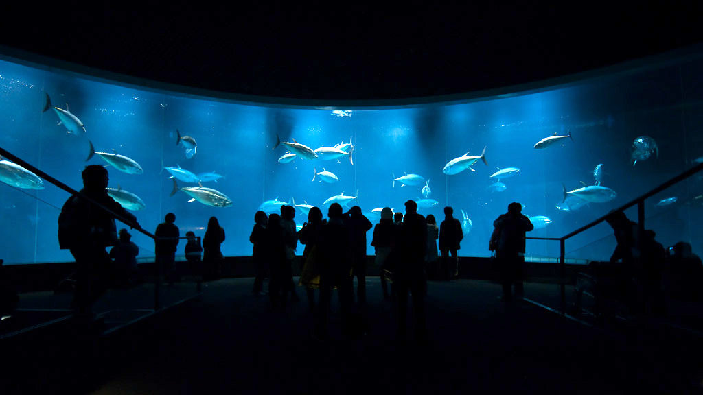 Tokyo Sea Life Park