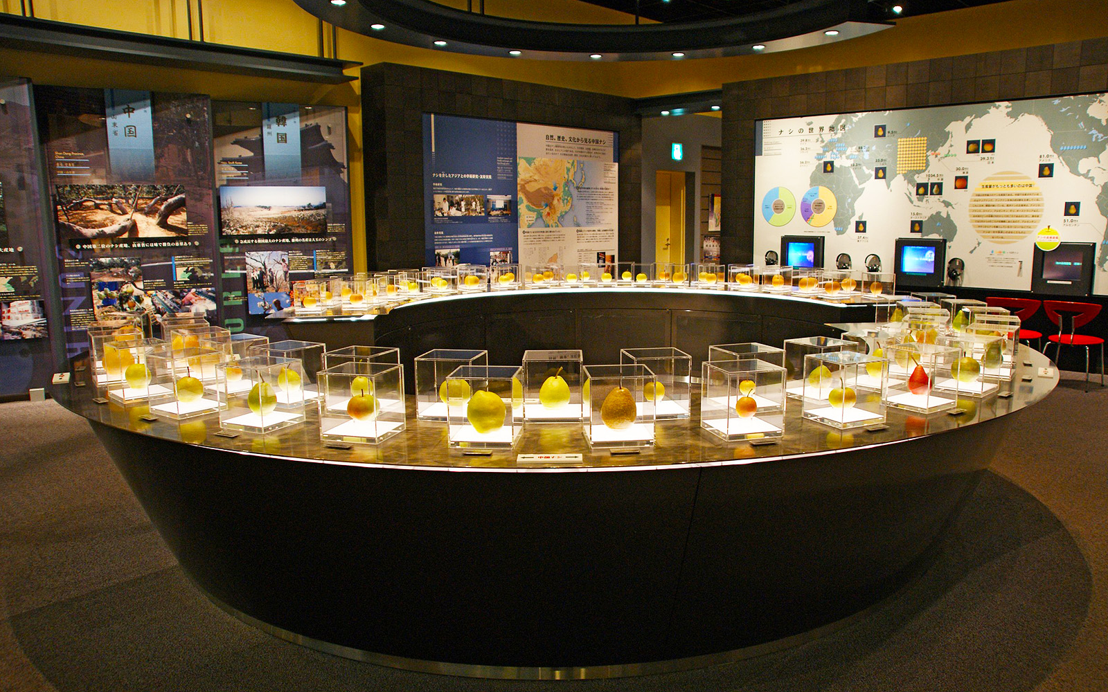 Tottori Nijisseiki Pear Museum