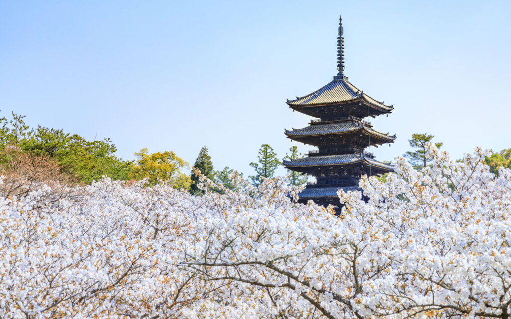 Ninna-ji Temple