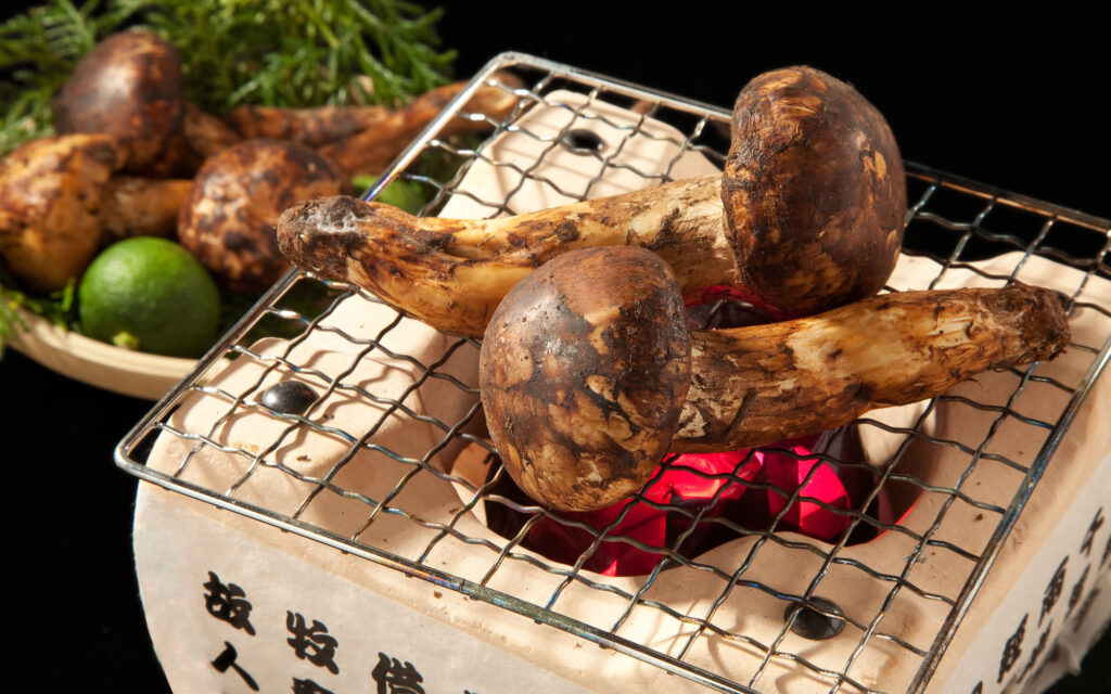 Matsutake Mushroom