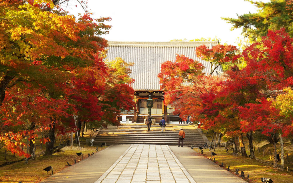 Ninna-ji Temple