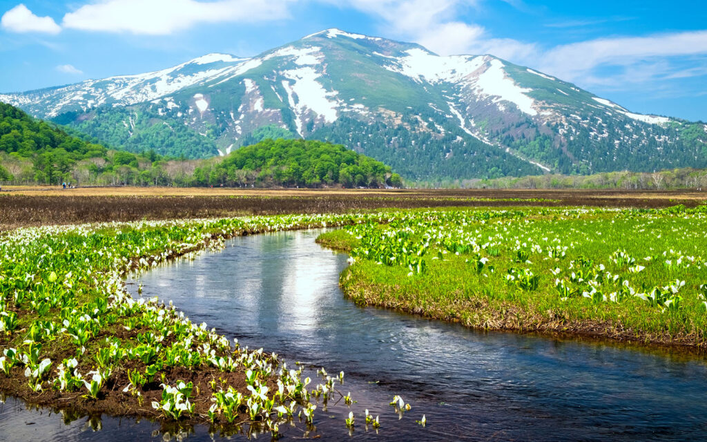 Oze National Park