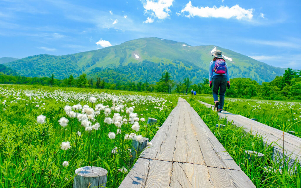 Oze National Park