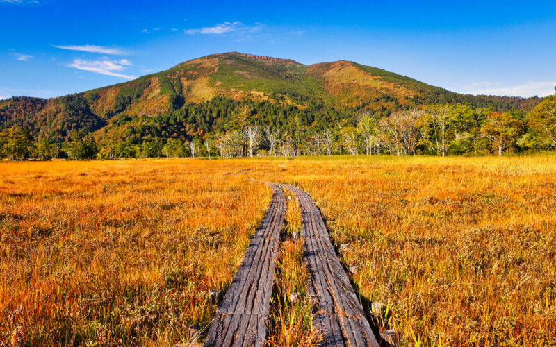 Tanigawadake Tenjindaira Ski Resort - GaijinPot Travel