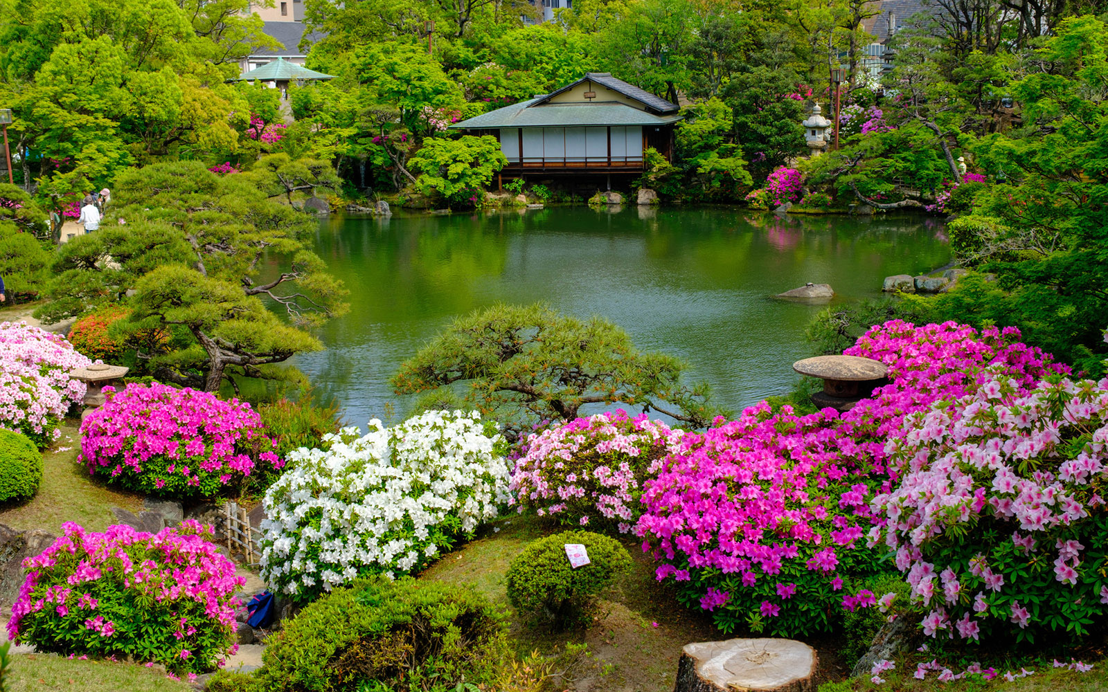 Sorakuen Garden 